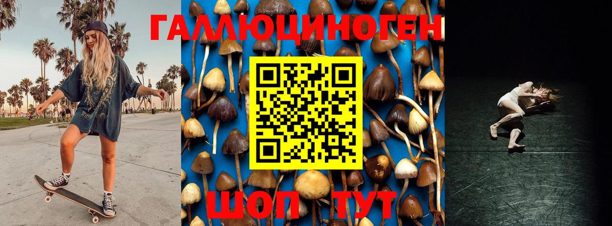 Галлюциногенные грибы мицелий Керчь