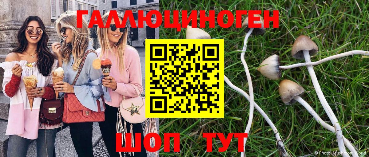Псилоцибиновые грибы Psilocybe  наркошоп  Вход с VPN  Керчь  Галлюциногенные грибы Magic Shrooms 